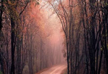 威廉希尔：国安小将郭嘉璇去世，年仅18岁.