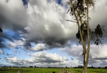 跟队：国米二队选帅优先考虑维琴察主帅韦基.