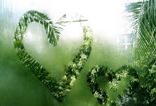 威廉希尔：拉坦齐奥：深圳有良好氛围 有强烈意愿建设球队.